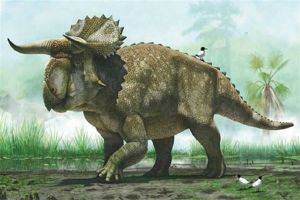 无鼻角龙：短鼻角的远古恐龙（食草类型的恐龙）