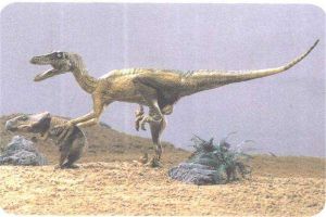 虚骨龙：虚骨龙科下的一种恐龙（生活在侏罗纪）