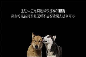 舔狗是什么意思 舔狗是一种网络用语词（讽刺意义）